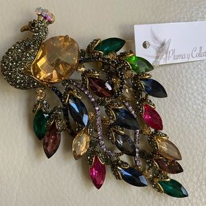 Peacock Brooch